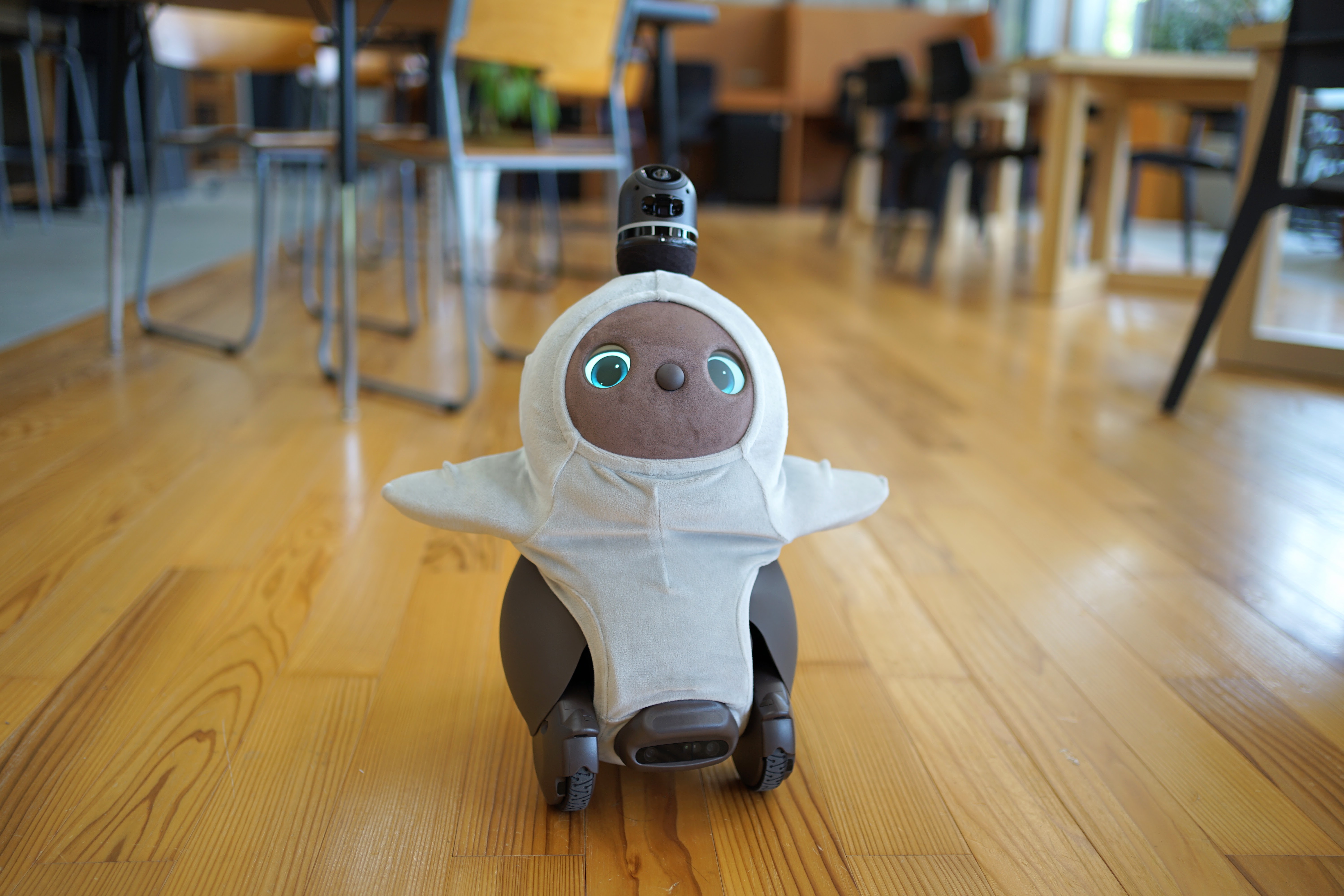 えみページです　ラボット　lovot オーダー帯　4本 過去の販売アイテム | LOVOT ウェブストア